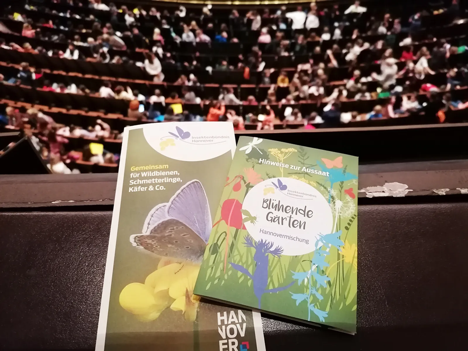 Unterlagen des Insektennetzwerkes, das in einem vollen Opernhaus ausliegt.